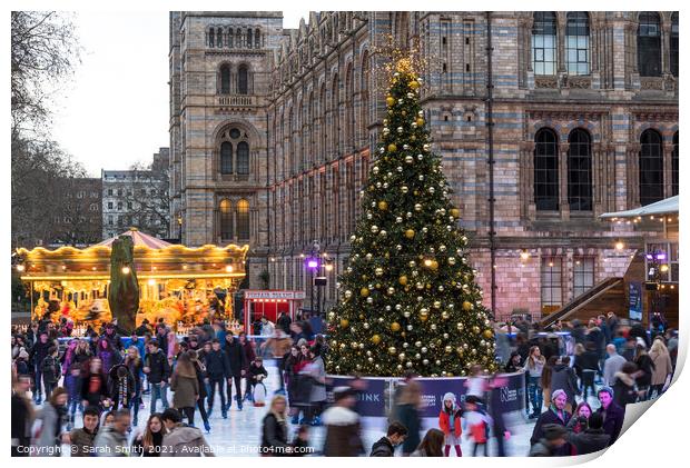 Natural History Museum Ice Rink Print by Sarah Smith