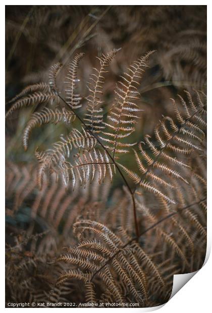 Winter Fern Print by KB Photo