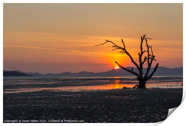 Dead tree sunrise Print by Kevin Hellon