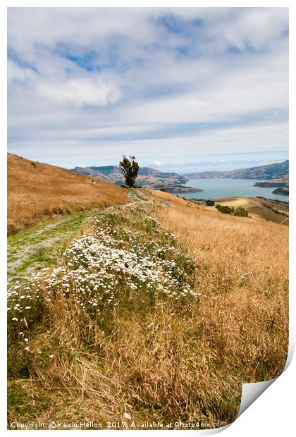 Grass and wild flowers on a hill overlooking the n Print by Kevin Hellon