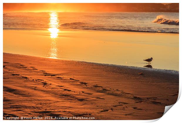 Bird wading in the sea at sunset  Print by Kevin Hellon