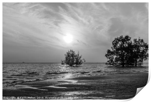 Mangrove sunrise Print by Kevin Hellon