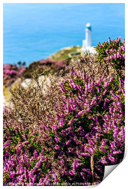 Purple heather with North Stack lighthouse Print by Kevin Hellon
