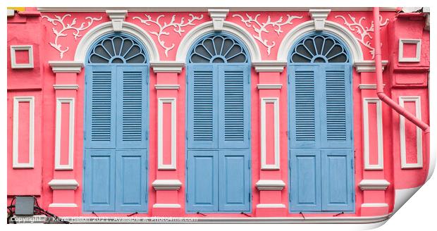 Building doorwindows Print by Kevin Hellon