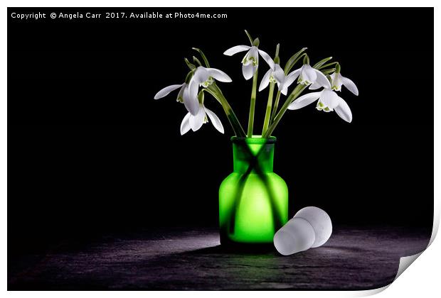 Snowdrops Print by Angela Carr