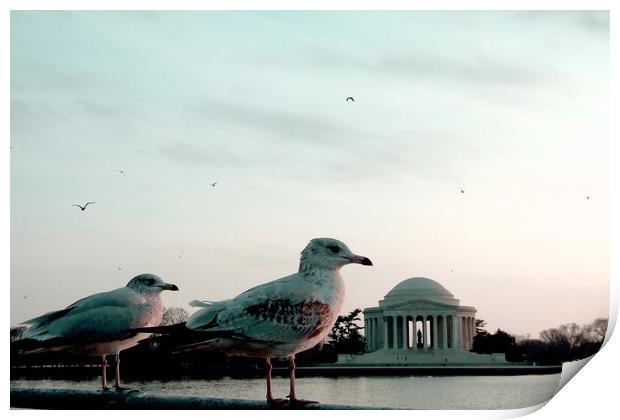 Jefferson Memorial Seagulls Print by Mike Lanning