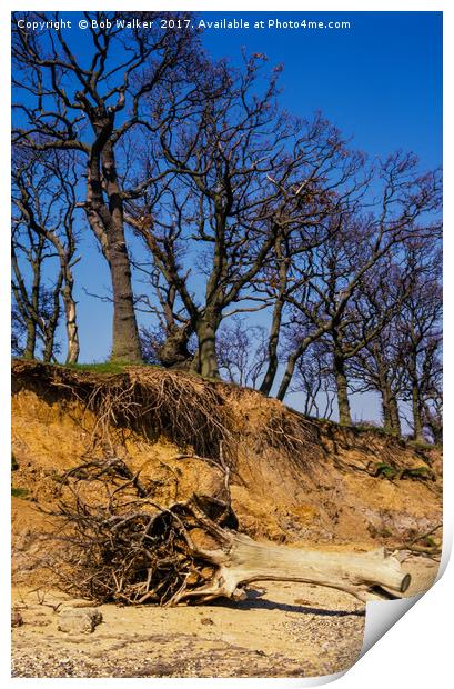 Erosion on Mersey Island, Essex Print by Bob Walker