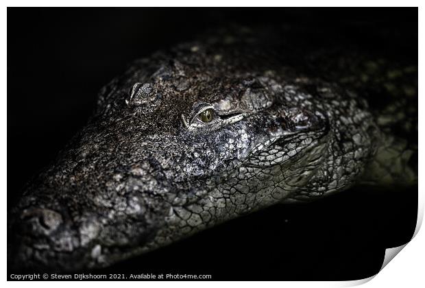 The portrait of a crocodile Print by Steven Dijkshoorn