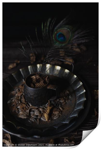 Still life pewter cup with a peacock feather Print by Steven Dijkshoorn