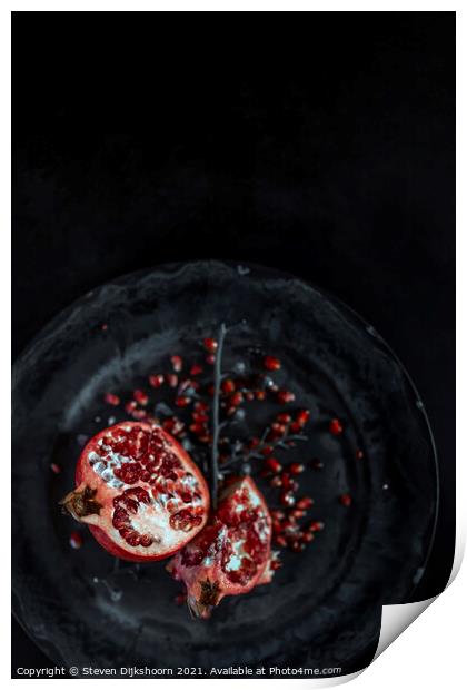 Still Life Pomegranate Print by Steven Dijkshoorn