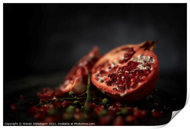 Pomegranate Still Life dark Print by Steven Dijkshoorn