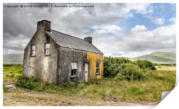 Old Abandoned farmhouse Ireland Print by David Michael Norton