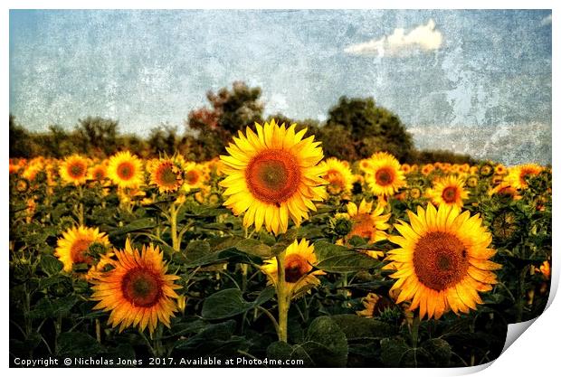 Not A Van Gogh Sunflower! Print by Nicholas Jones
