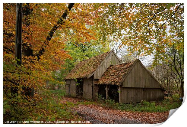 old farm in a autumn forest in holland Print by Chris Willemsen