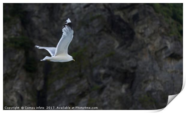 flying seagull with rocks as background Print by Chris Willemsen