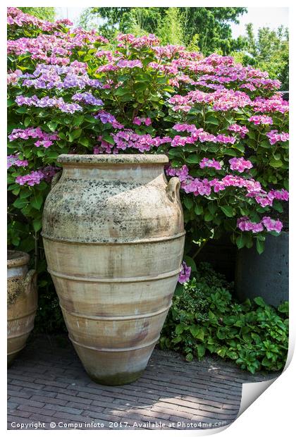 pink hortensia in big vase Print by Chris Willemsen