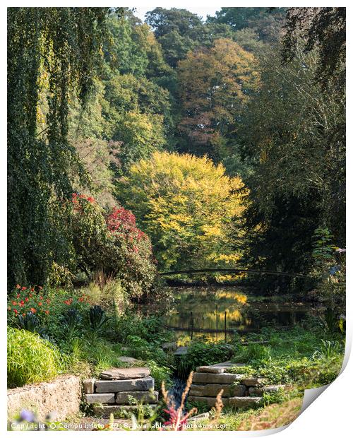 park and pond in autumn Print by Chris Willemsen