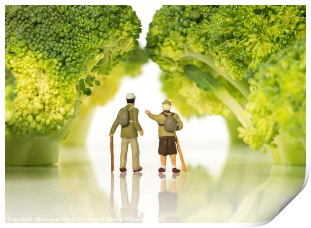 miniature figures walking on broccoli trees  Print by Chris Willemsen