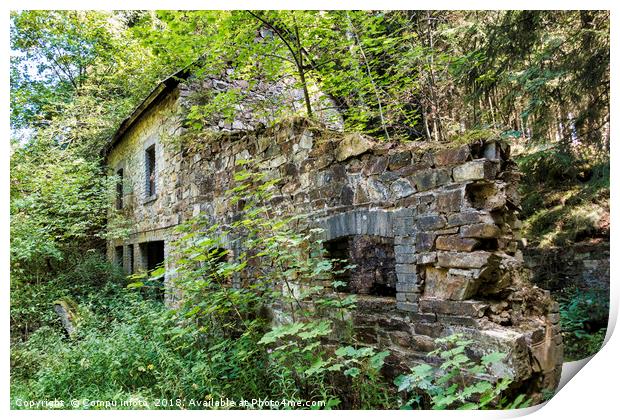 old abandoned building in green forest Print by Chris Willemsen