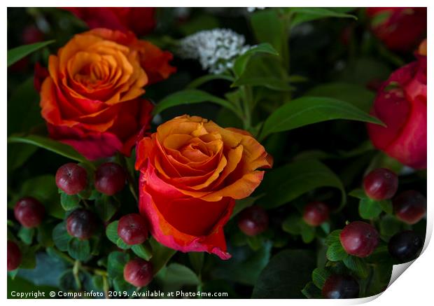red roses Print by Chris Willemsen