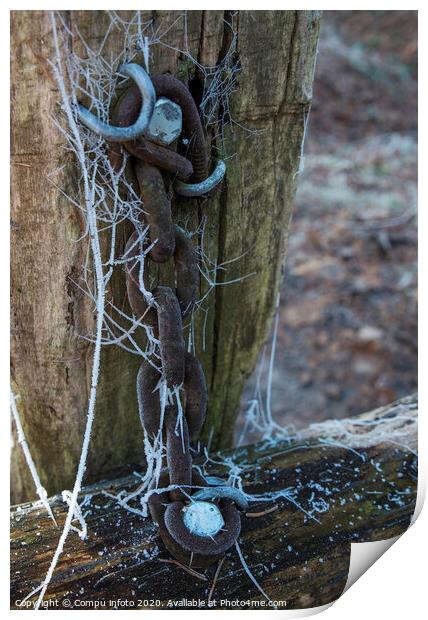 chain in the forest Print by Chris Willemsen