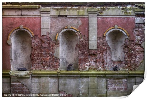 old wall with cats Print by Chris Willemsen