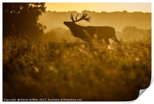 Sunrise Stag Silhouette Print by Martin Griffett