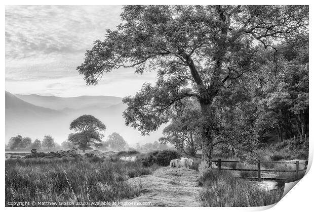 Beautiful foggy misty black and white landscape Autumn sunrise over countryside surrounding Crummock Water in Lake District in England Print by Matthew Gibson