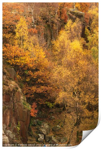 Beautiful colorful vibrant forest woodland Autumn Fall landscape in Peak District in England Print by Matthew Gibson