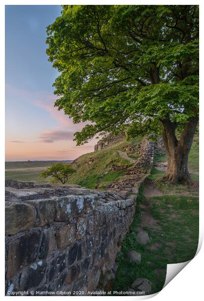 Beautiful landscape image of Sycamore Gap at Hadrian's Wall in Northumberland at sunset with fantastic late Spring light Print by Matthew Gibson