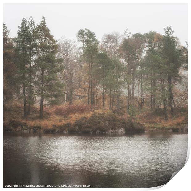 Beautiful mody Autumn Fall landscape of woodland and lake with mist fog during early morning Print by Matthew Gibson