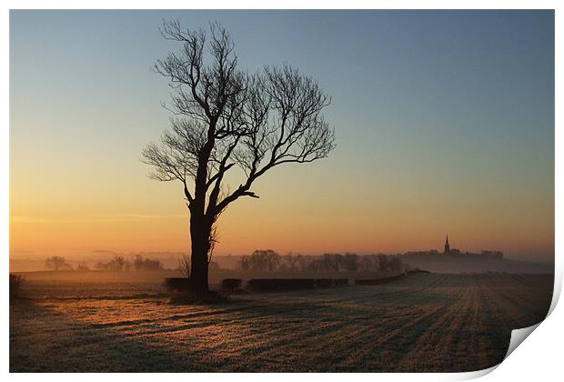Country Morning Print by Neil Gavin