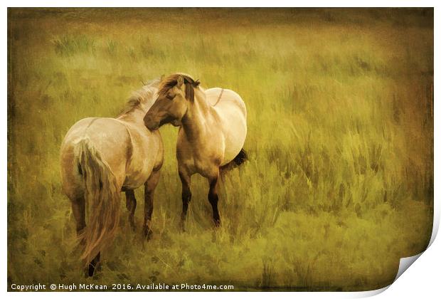 Photo art, Highland ponies Print by Hugh McKean