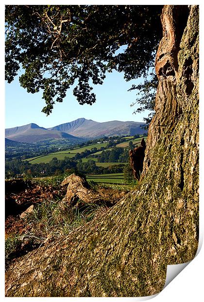 Tremendous view of the Beacons Print by David (Dai) Meacham