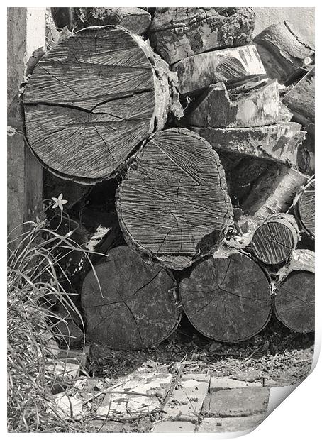 Log Pile Print by Graham Lester George