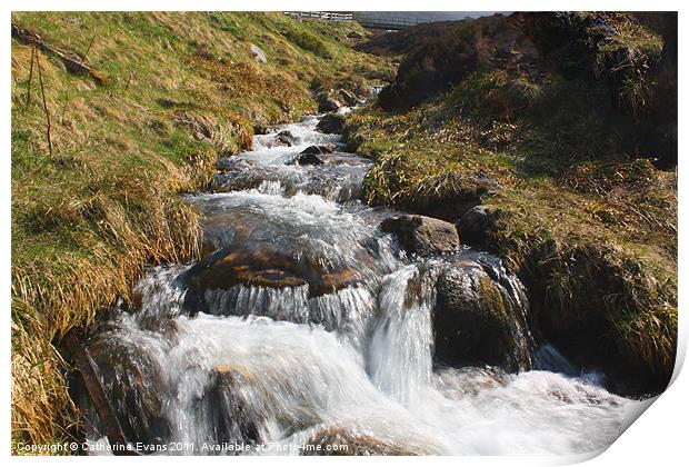 Cairngorm Mountain Stream Print by Catherine Fowler