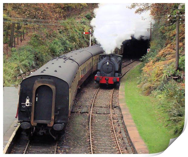 Steam at Haverthwaite Print by Catherine Fowler