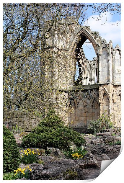 St Mary's Abbey Ruins York #2 Print by Catherine Fowler