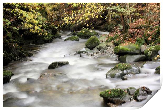 Stock Ghyll #1 Print by Catherine Fowler