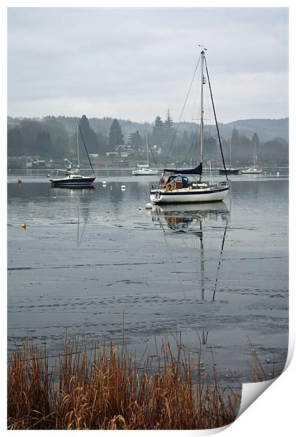 Frozen Windermere Print by Catherine Fowler