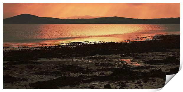 Sunset over the Moray Firth Print by Catherine Fowler