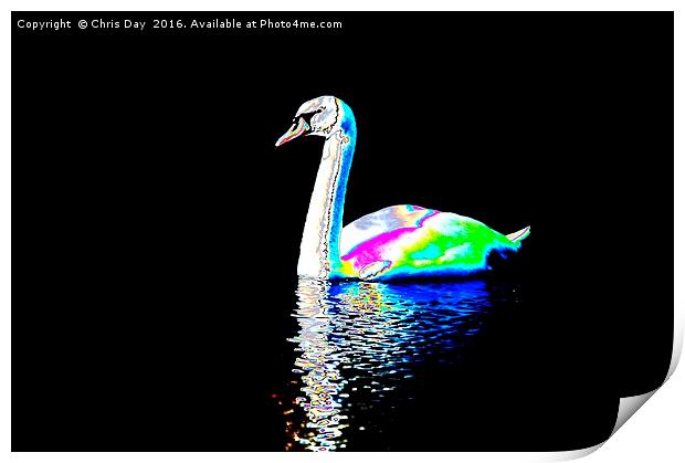 Mute Swan Print by Chris Day