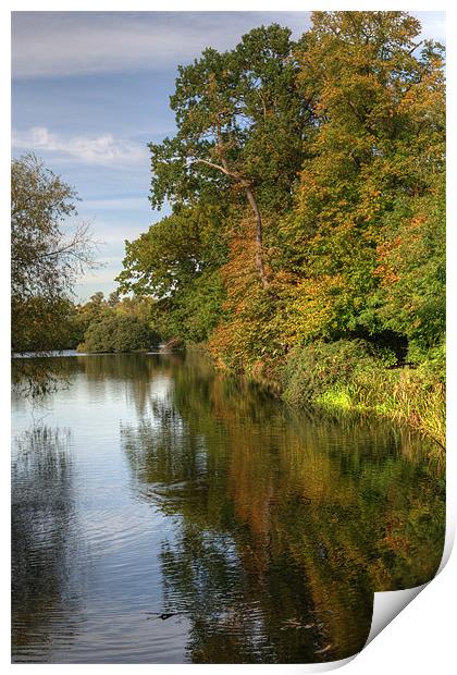 First signs of Autumn Print by Chris Day