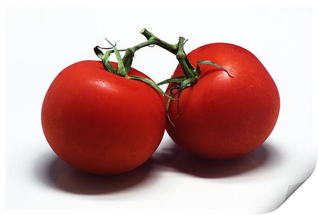 Tomatoes Print by Chris Day