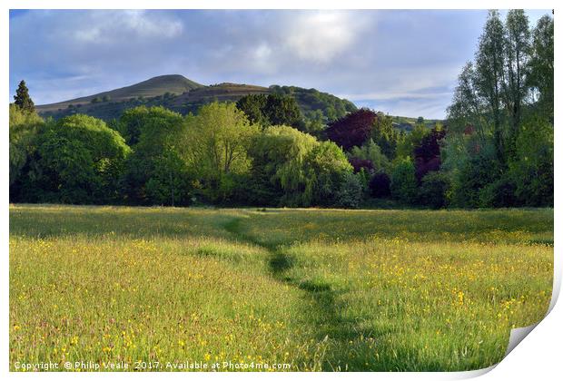 Sugar Loaf from Castle Meadows, Abergavenny. Print by Philip Veale