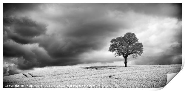 Storm Brewing over Rapeseed Field, Monochrome. Print by Philip Veale