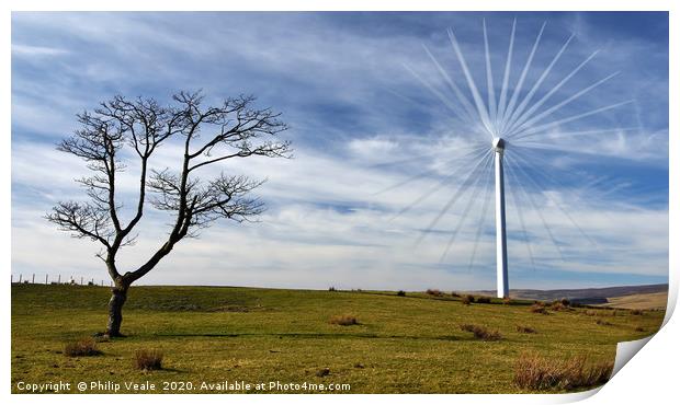 Old Tree, New Turbine. Print by Philip Veale