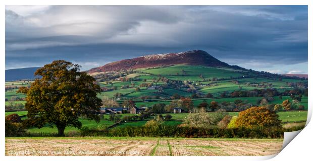 Skirrid Mountain after Autumn Snow Storm. Print by Philip Veale
