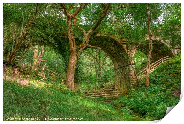 Abandoned Viaduct at Hoghton Bottoms, Preston, Lancashire, UK (Nature Taking Over) Print by Shafiq Khan