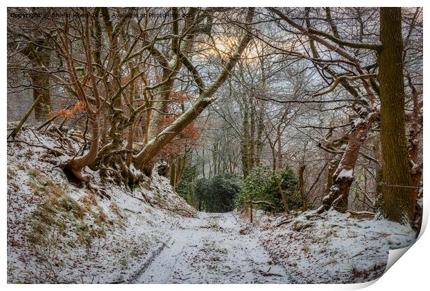 Winter Wonderland in Feniscowles, Blackburn, Lancashire Print by Shafiq Khan